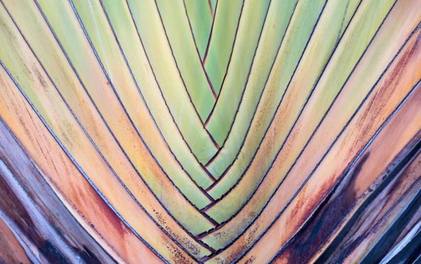 The importance of an evaluation framework in R&D management