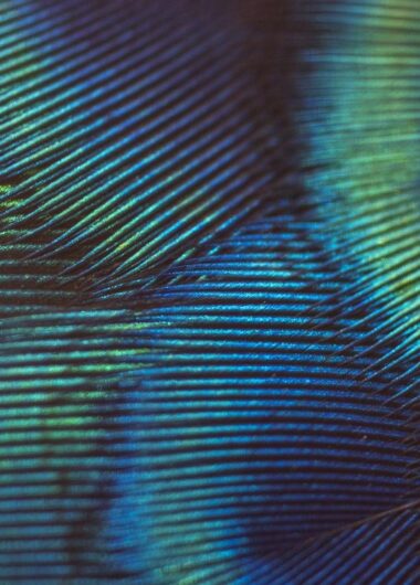 Assessing researcher mobility for R&D management