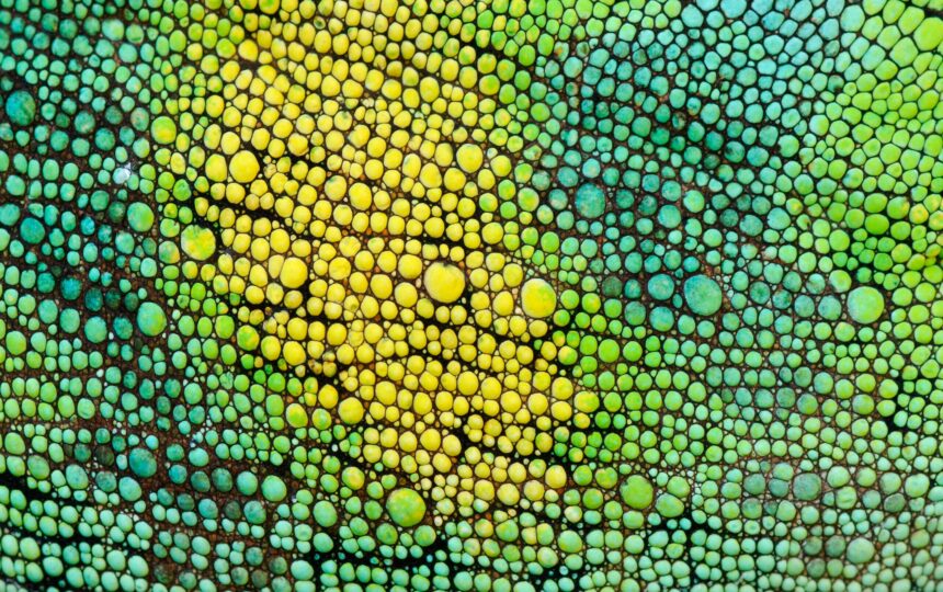 Introducing ProQuest Digital Collections, a new library subscription offering unparalleled breadth, value and access