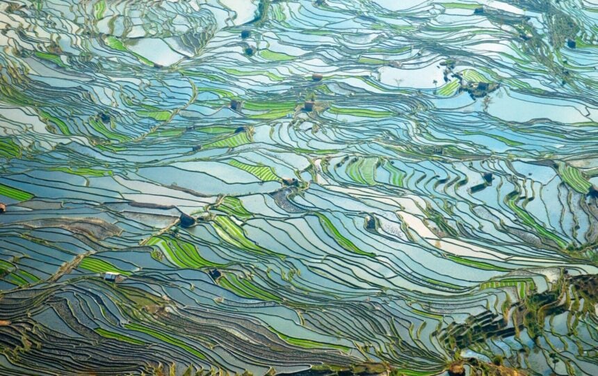 중국- 규제진화를 통해 신약접근을 큰 폭으로 개선