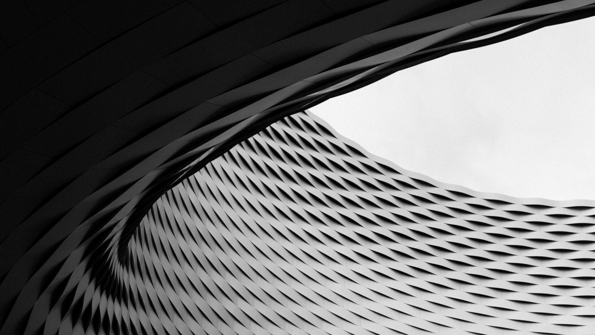 Introducing EndNote 2025: The next generation of reference management