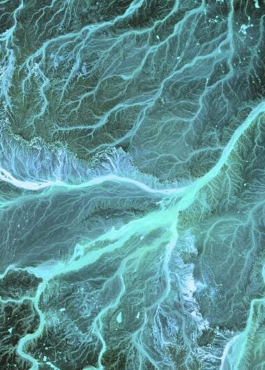 전략적 사이트 선택에 있어서 Real World Data의 역할